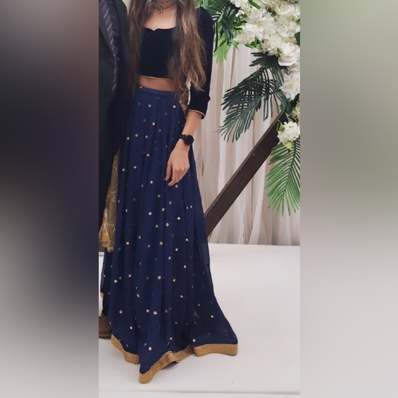 Navy blue Indian lehenga - Picture 5 of 5